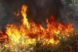 ΕΥΠ Τούρκοι Εμπρηστές